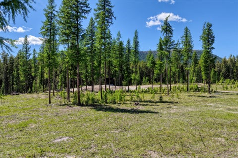 Tiny photo for 577 Evers Creek Connection Road, Whitefish, MT 59937 (MLS # 30070708)