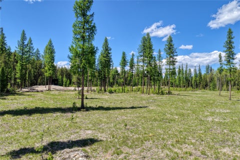 Tiny photo for 577 Evers Creek Connection Road, Whitefish, MT 59937 (MLS # 30070708)
