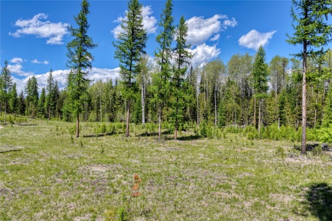 Tiny photo for 577 Evers Creek Connection Road, Whitefish, MT 59937 (MLS # 30070708)