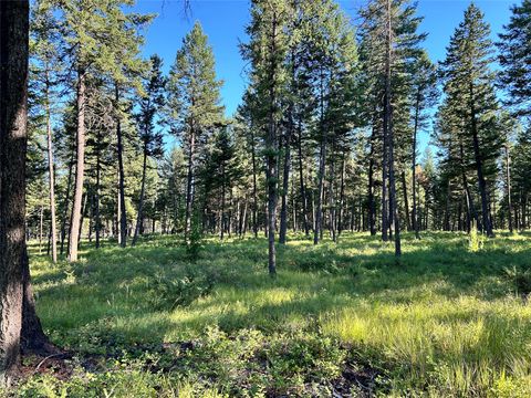 Tiny photo for TBD Eagle Run Drive, Whitefish, MT 59937 (MLS # 30063960)