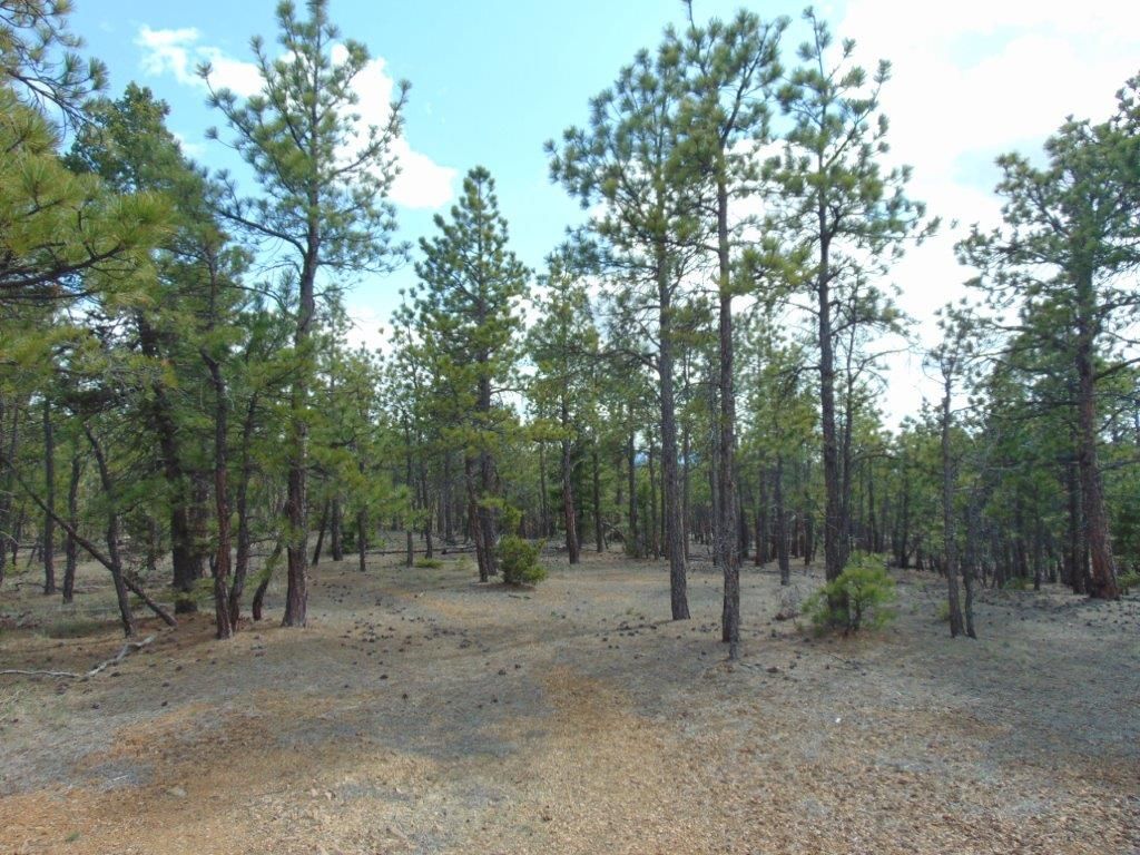 Photo of 3575 Sweetwater Road, Helena, MT 59602 (MLS # 30067222)