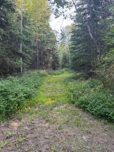 Tiny photo for 573 Armory Road, Whitefish, MT 59937 (MLS # 30060073)
