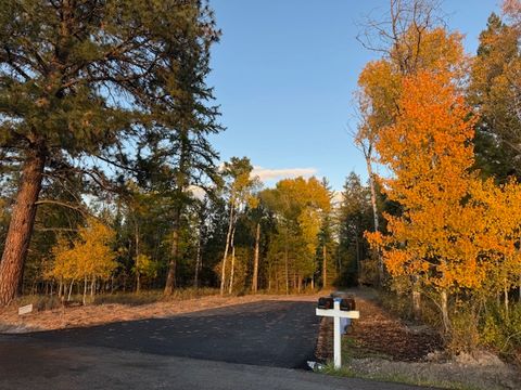 Photo of 573 Armory Road, Whitefish, MT 59937 (MLS # 30060073)