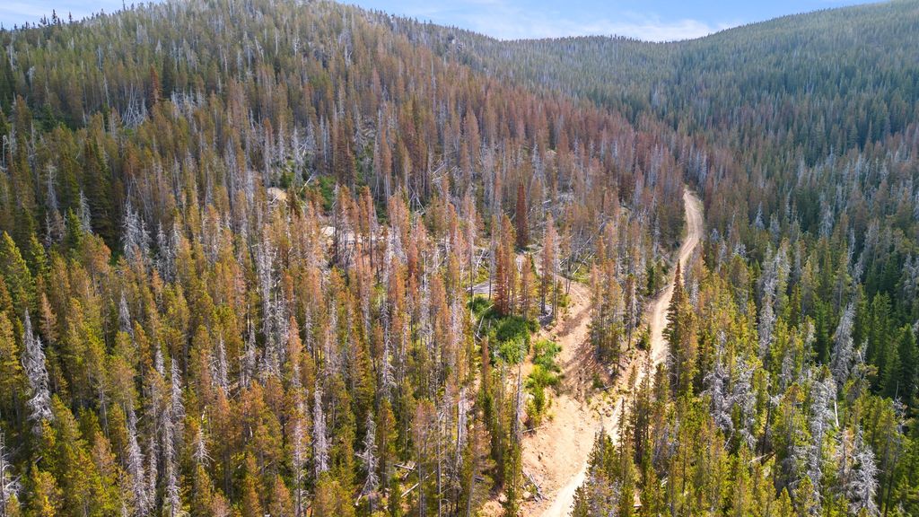 Photo of NHN Peerless Jennie Crossroad, Helena, MT 59601 (MLS # 30057122)