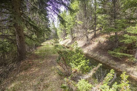 Tiny photo for 245 Doxie Lane, Eureka, MT 59917 (MLS # 30066055)