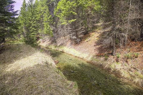 Tiny photo for 245 Doxie Lane, Eureka, MT 59917 (MLS # 30066055)