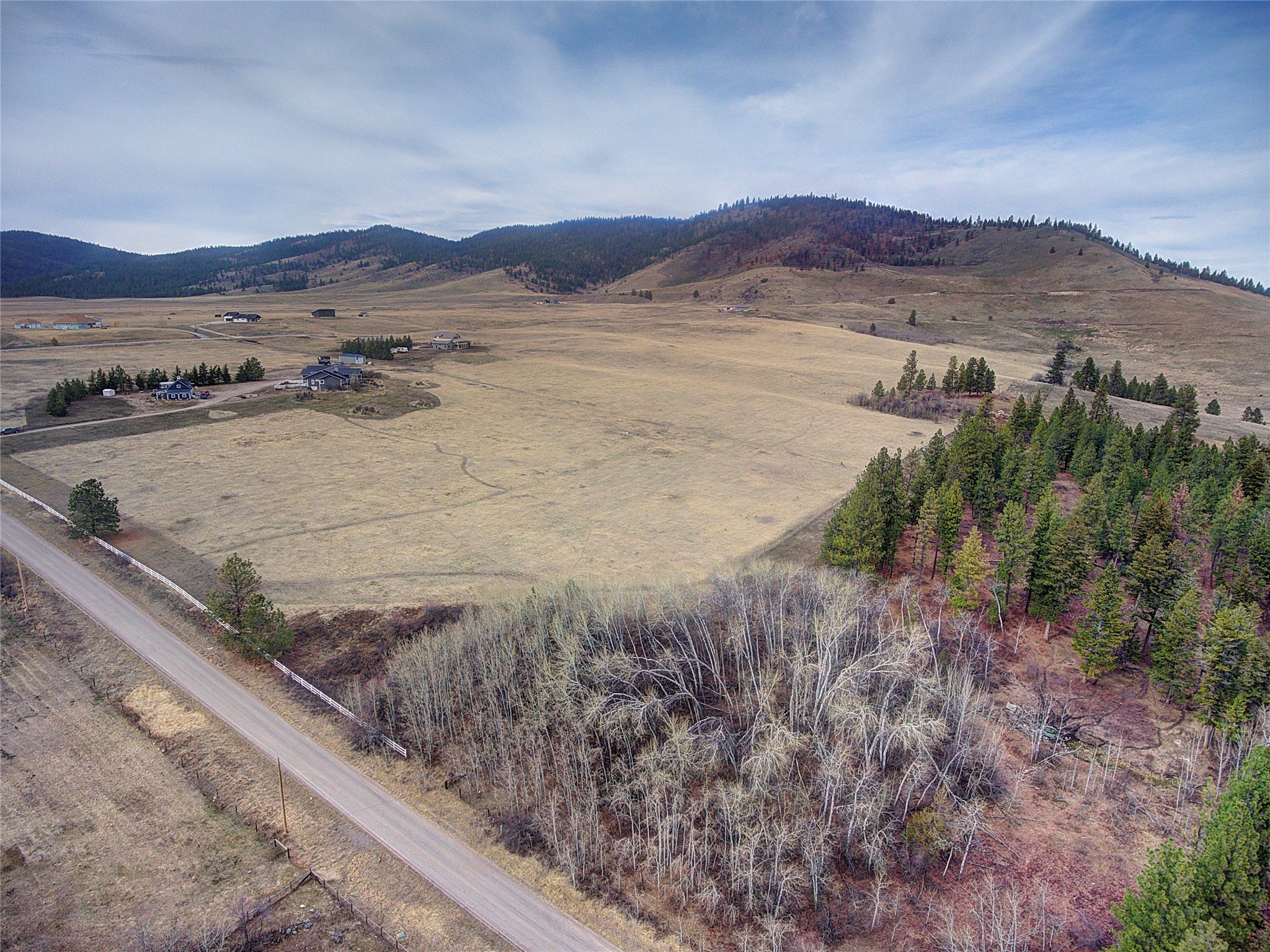 31365 Walking Horse Lane