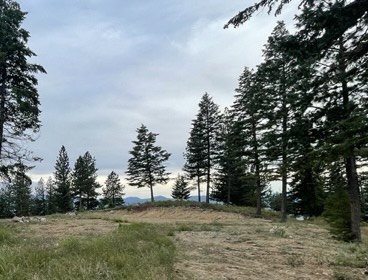 11509 Timber Ridge Lane
