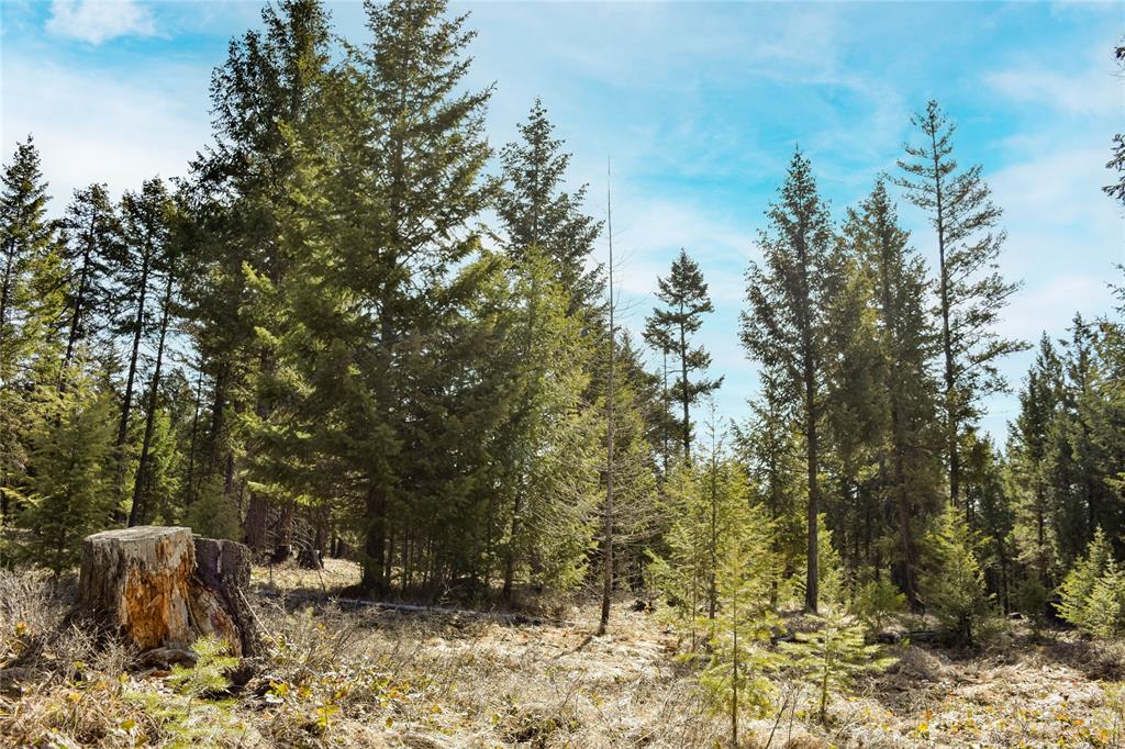 Lot 1 B Meadow Springs Road