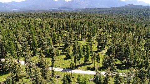Lot 1 B Meadow Springs Road Fortine MT 59918