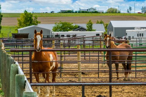 Tiny photo for 170 Sun Prairie Road, Great Falls, MT 59404 (MLS # 30073651)