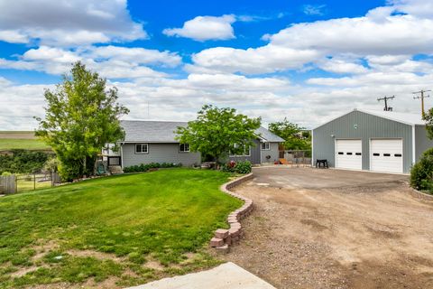 Tiny photo for 170 Sun Prairie Road, Great Falls, MT 59404 (MLS # 30073651)