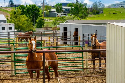 Tiny photo for 170 Sun Prairie Road, Great Falls, MT 59404 (MLS # 30073651)