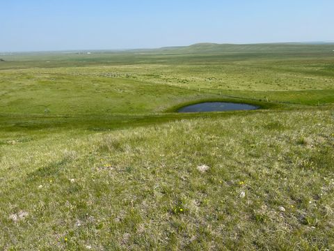 Photo of TBD U Bet Road, Buffalo, MT 59418 (MLS # 30066080)
