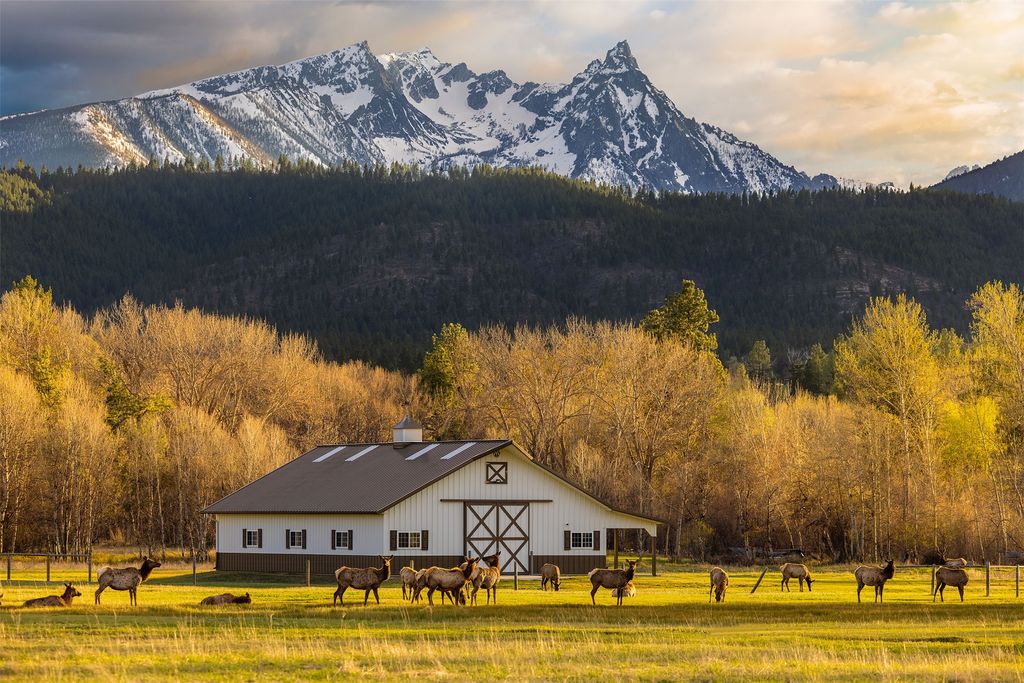 Photo of 50 Tippet Trail, Darby, MT 59829 (MLS # 30060260)