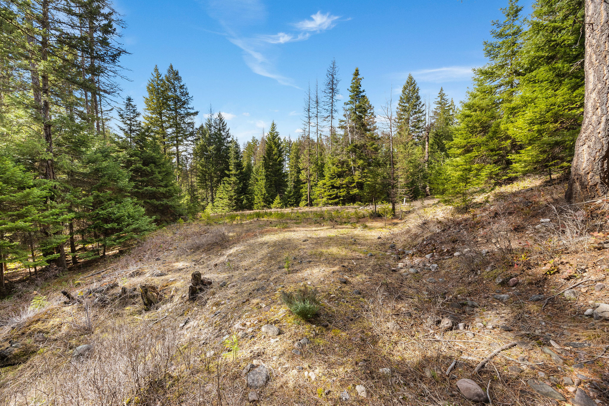 310 Rolling Ridge Drive