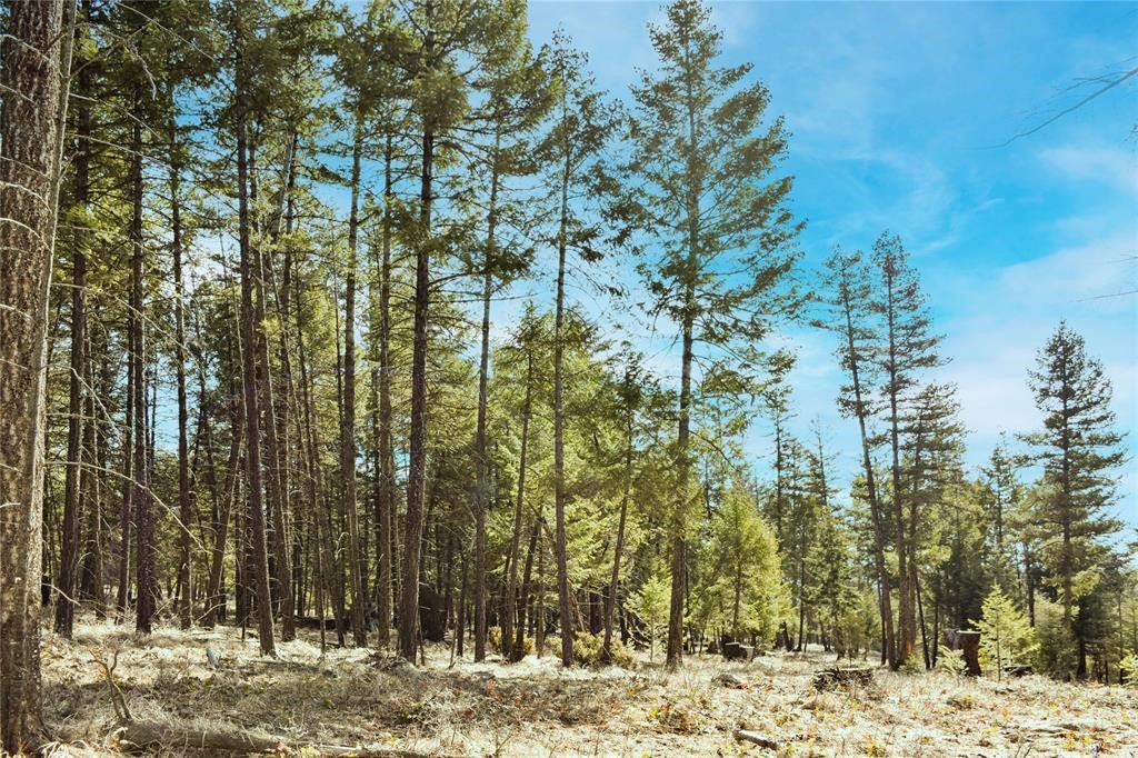 Lot 1B Meadow Springs