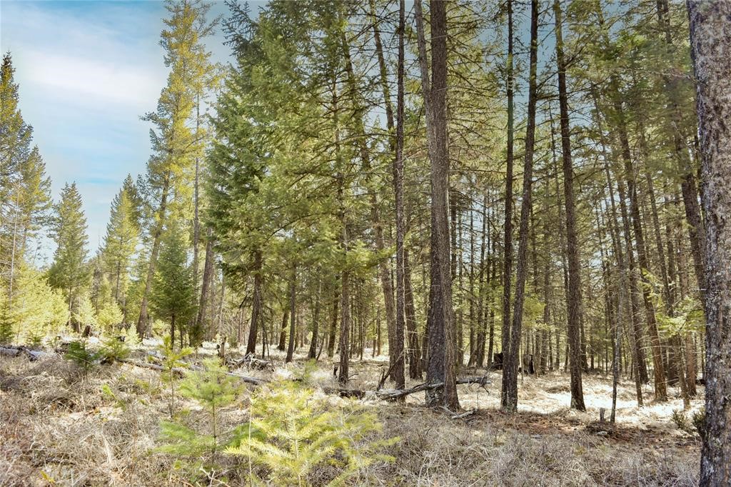 Lot 1B Meadow Springs