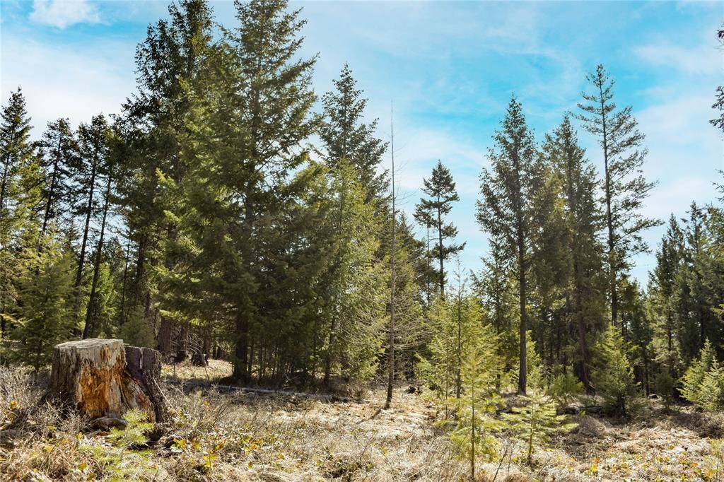 Lot 1B Meadow Springs