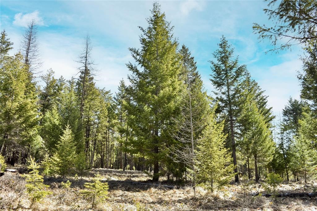 Lot 1B Meadow Springs