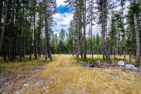 Tiny photo for 650 Boulder Ridge Trail, Columbia Falls, MT 59912 (MLS # 30077111)