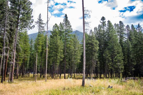 Tiny photo for 650 Boulder Ridge Trail, Columbia Falls, MT 59912 (MLS # 30077111)