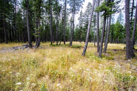 Tiny photo for 650 Boulder Ridge Trail, Columbia Falls, MT 59912 (MLS # 30077111)