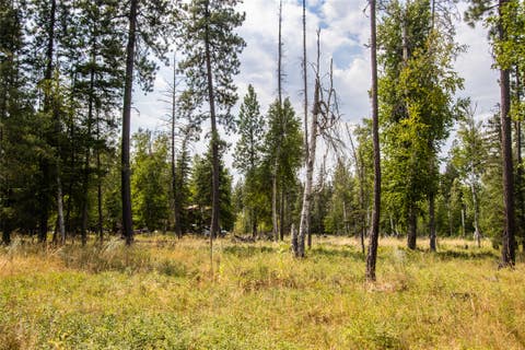 Tiny photo for 650 Boulder Ridge Trail, Columbia Falls, MT 59912 (MLS # 30077111)