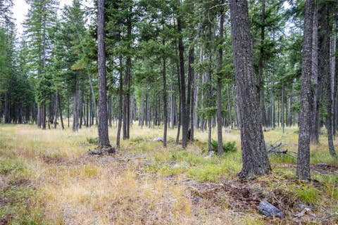 Tiny photo for 650 Boulder Ridge Trail, Columbia Falls, MT 59912 (MLS # 30077111)