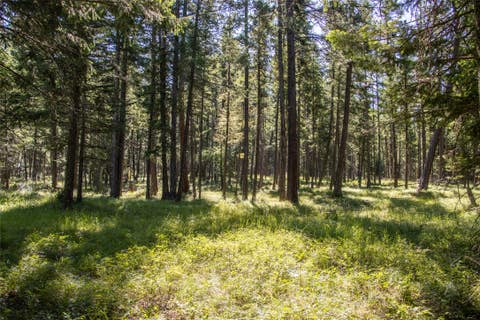 Tiny photo for 650 Boulder Ridge Trail, Columbia Falls, MT 59912 (MLS # 30077111)