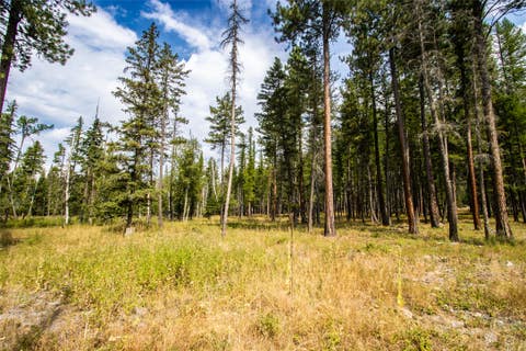 Tiny photo for 650 Boulder Ridge Trail, Columbia Falls, MT 59912 (MLS # 30077111)