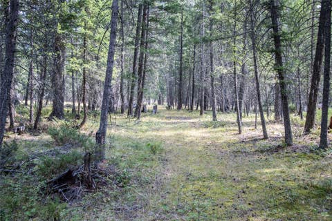 Tiny photo for 650 Boulder Ridge Trail, Columbia Falls, MT 59912 (MLS # 30077111)