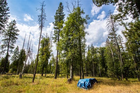 Tiny photo for 650 Boulder Ridge Trail, Columbia Falls, MT 59912 (MLS # 30077111)