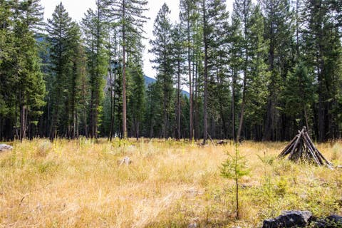 Tiny photo for 650 Boulder Ridge Trail, Columbia Falls, MT 59912 (MLS # 30077111)