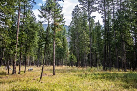 Tiny photo for 650 Boulder Ridge Trail, Columbia Falls, MT 59912 (MLS # 30077111)