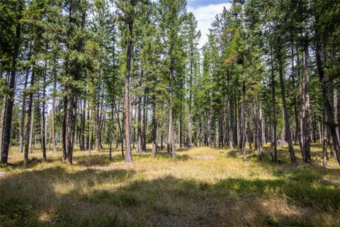 Tiny photo for 650 Boulder Ridge Trail, Columbia Falls, MT 59912 (MLS # 30077111)