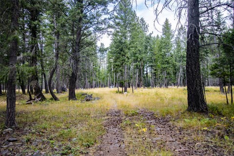 Tiny photo for 650 Boulder Ridge Trail, Columbia Falls, MT 59912 (MLS # 30077111)