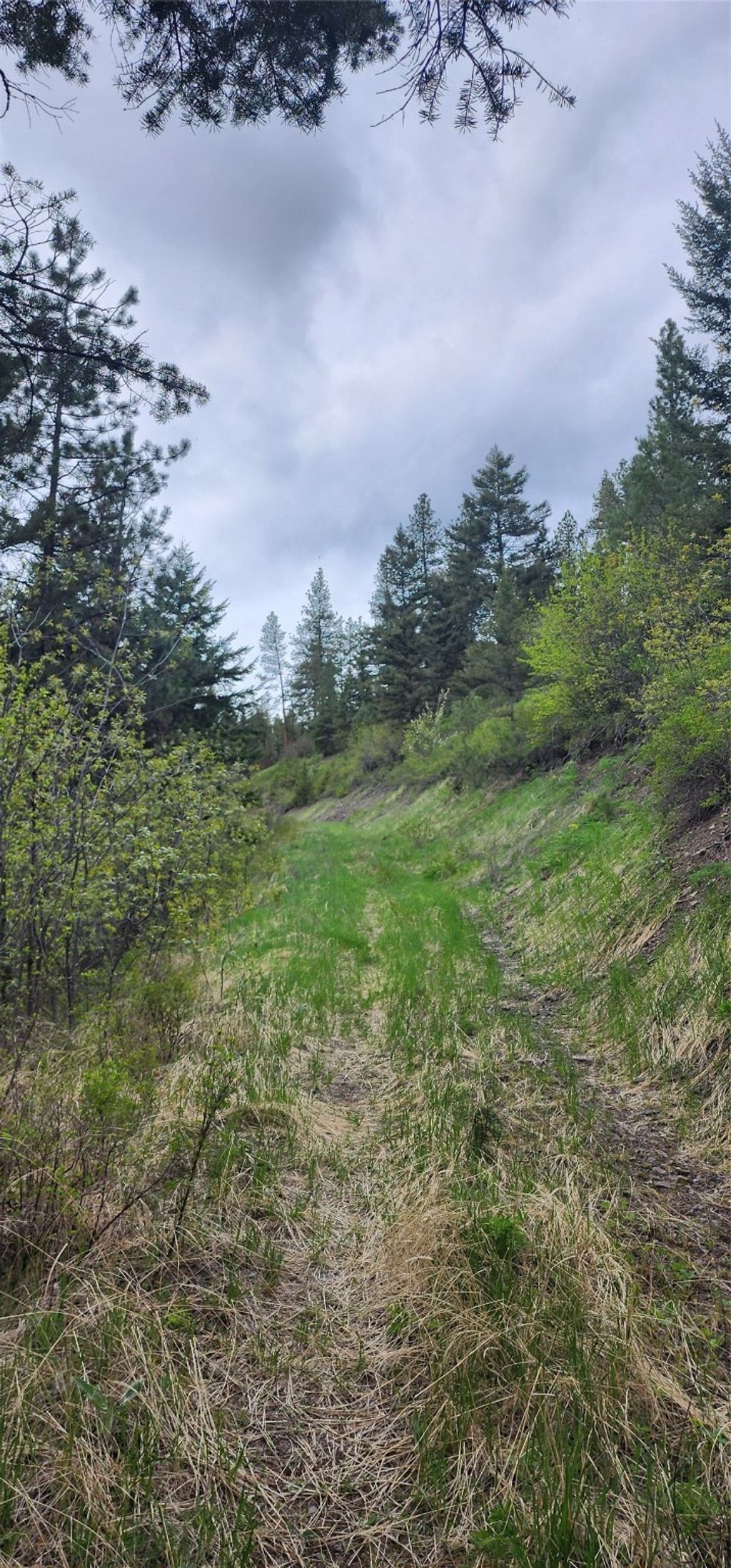 Photo of NHN Copper Ridge Road, Florence, MT 59833 (MLS # 30062330)