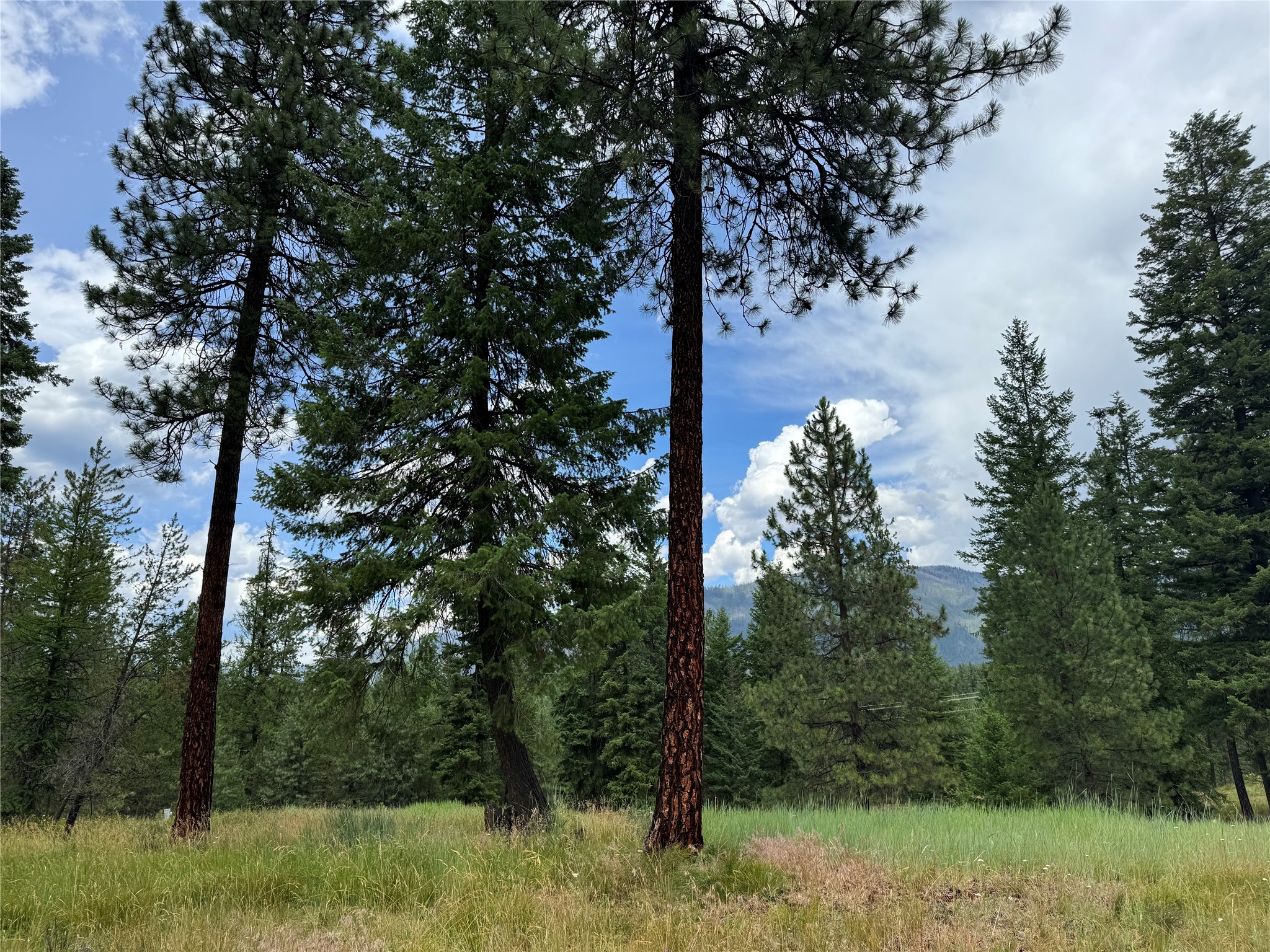 Photo 1 of 8 — Lot 7 Mossy Rock Court, Thompson Falls, MT 59873