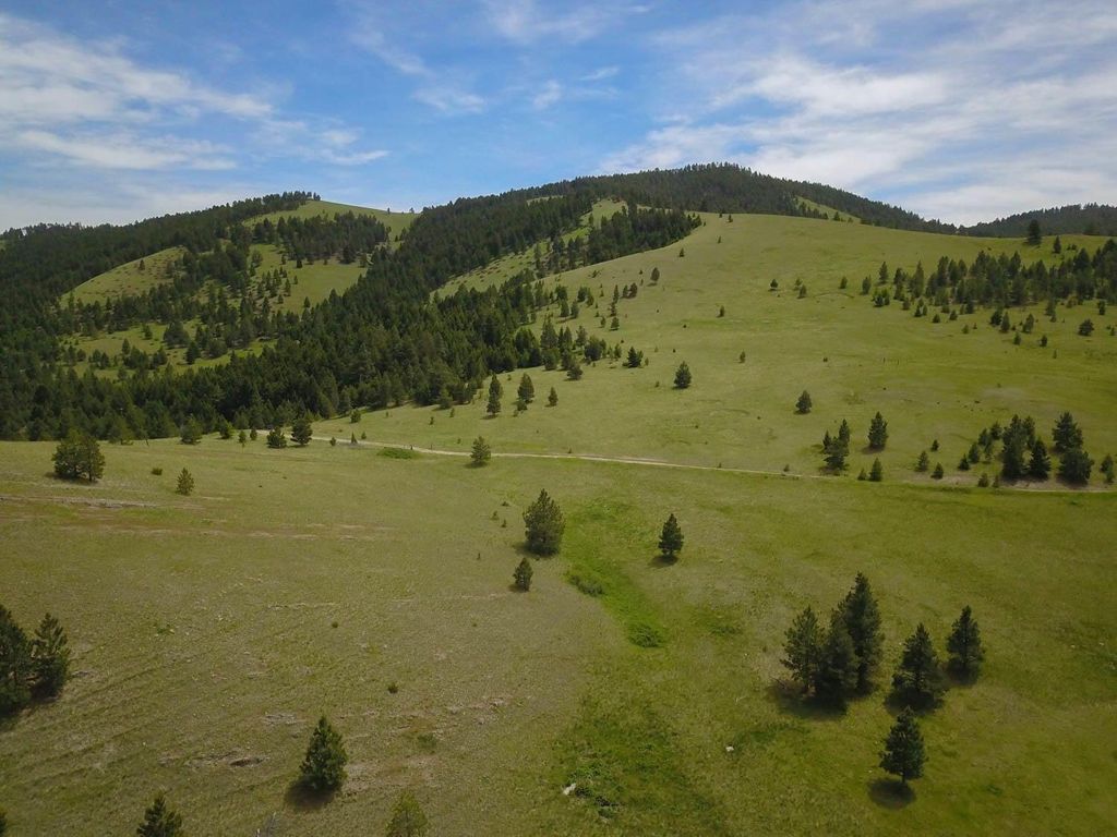 Photo of Tbd Hwy 12 W, Helena, MT 59601 (MLS # 22203001)