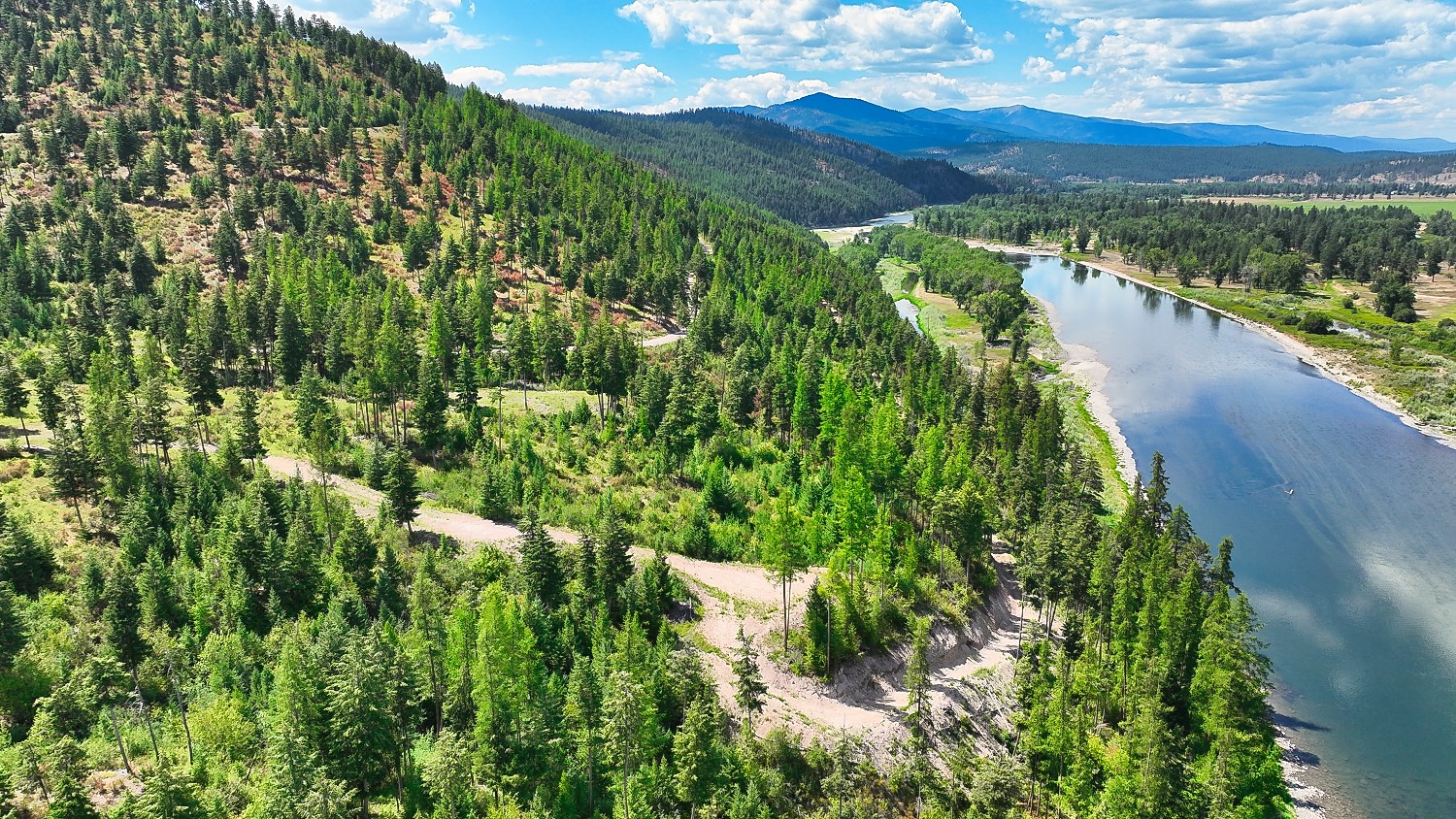 Nhn Clark Fork Bluff