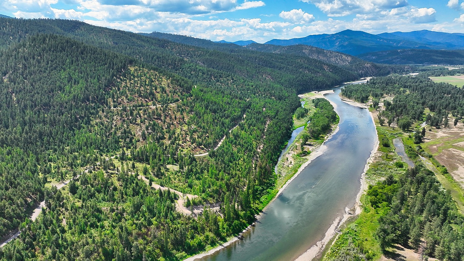 Nhn Clark Fork Bluff