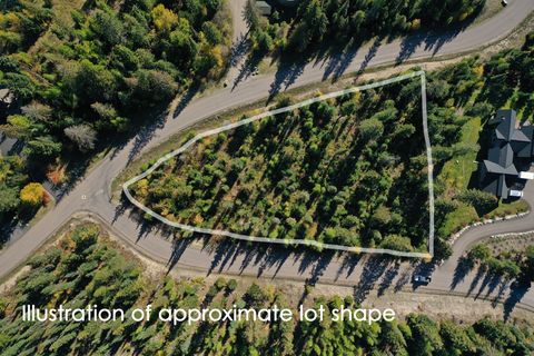 Tiny photo for 254 S Beargrass Circle, Whitefish, MT 59937 (MLS # 30058309)