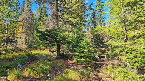 Tiny photo for 254 S Beargrass Circle, Whitefish, MT 59937 (MLS # 30058309)
