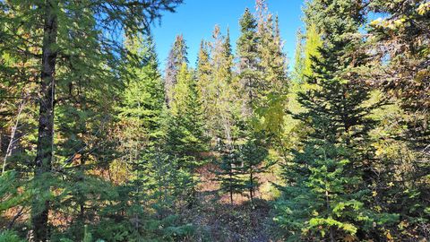 Tiny photo for 254 S Beargrass Circle, Whitefish, MT 59937 (MLS # 30058309)
