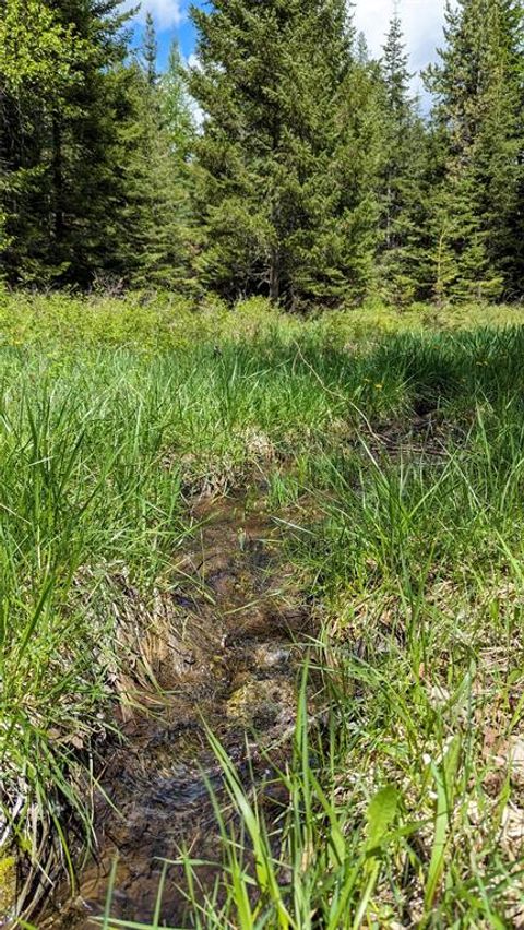 Tiny photo for 420 Little Creek Lane, Whitefish, MT 59937 (MLS # 30064282)