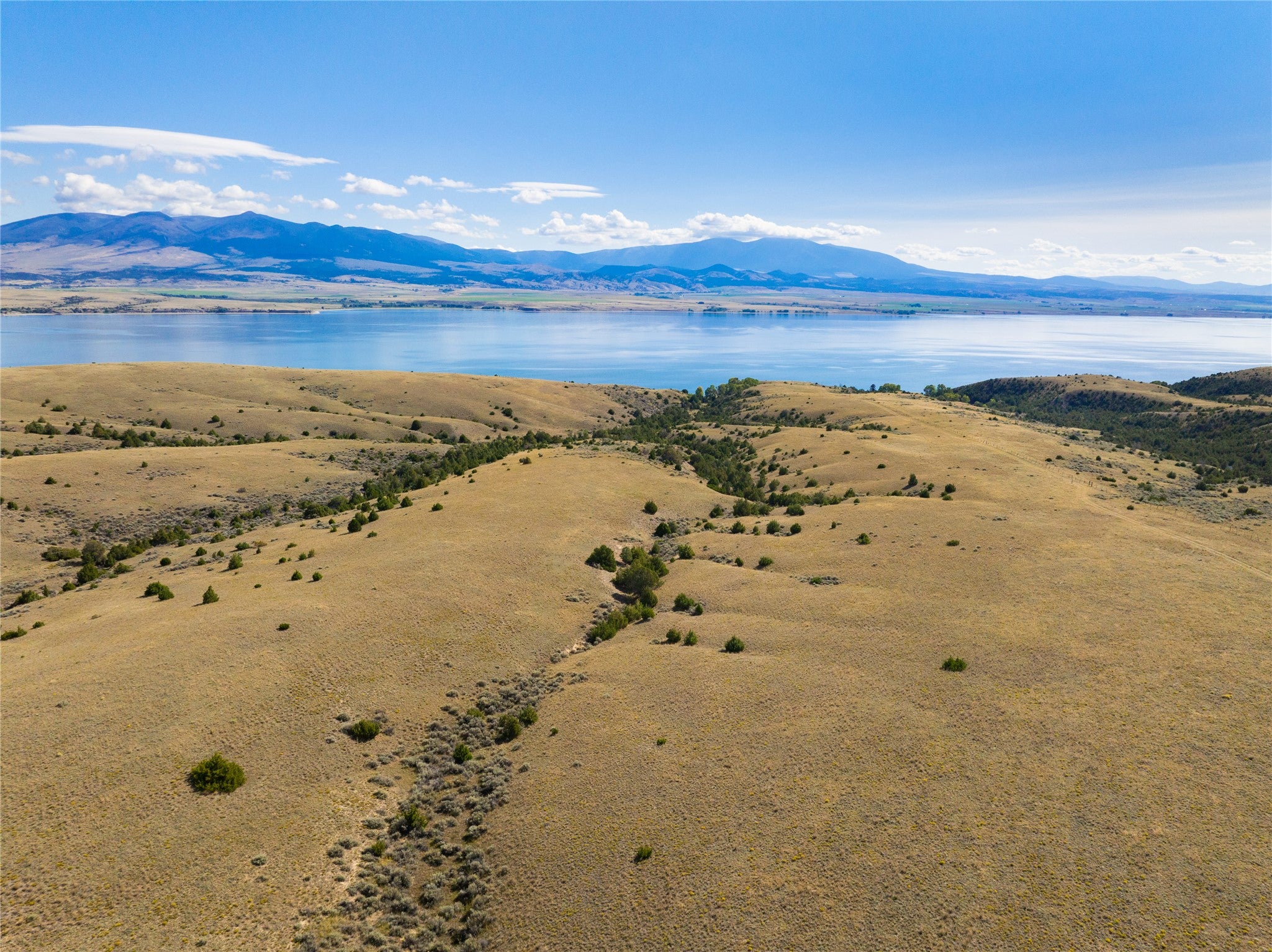 Tract 6A Open Range Trail - Photo 4