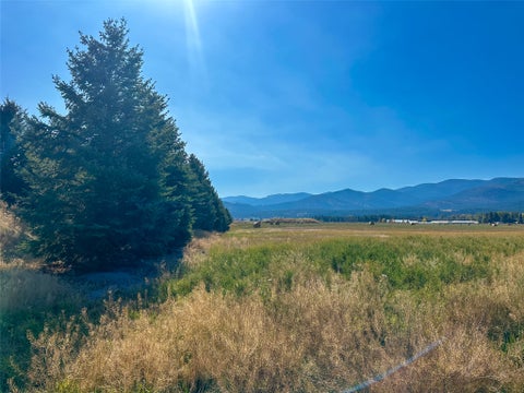 Photo of NHN Picea Place #Lot 12, Plains, MT 59859 (MLS # 30078858)