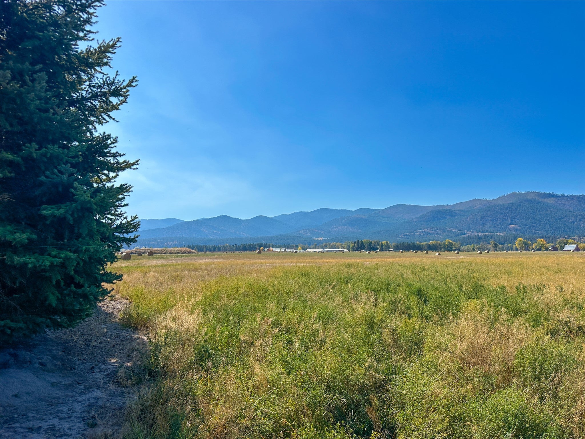 NHN Picea Place Lot 12