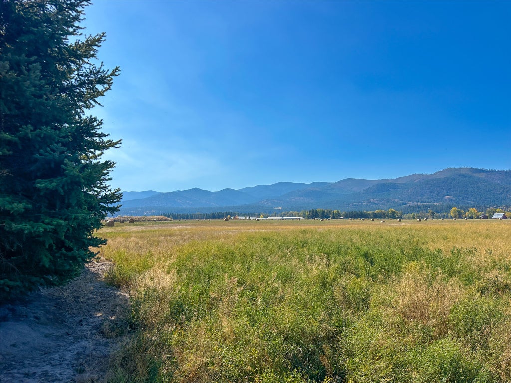 Photo of NHN Picea Place #Lot 12, Plains, MT 59859 (MLS # 30078858)